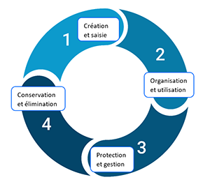 1 - Cration et saisie des documents, 2 - Organisation et utilisation des documents, 3 - Protection et gestion des documents, 4 - Conservation et limination des documents